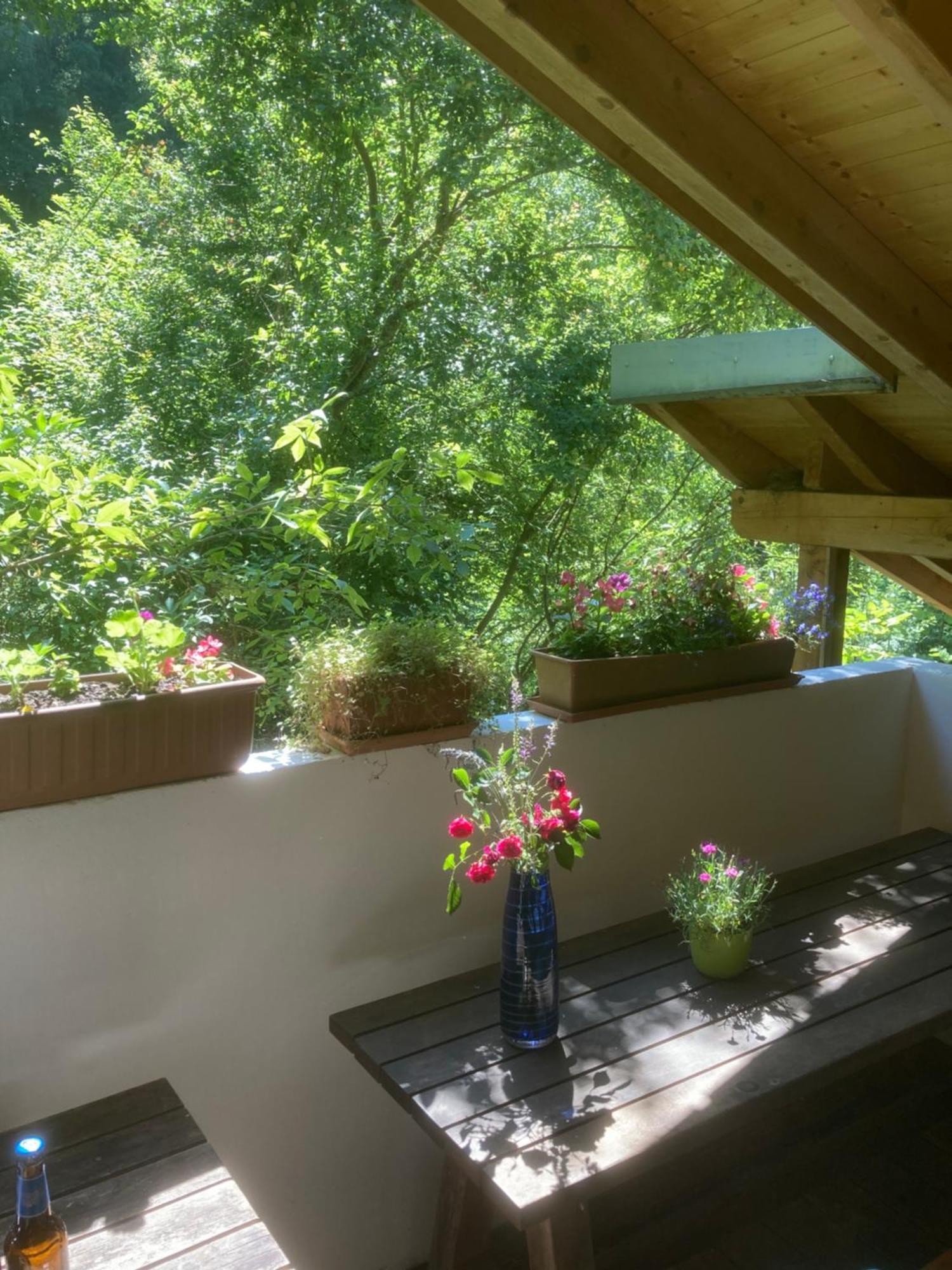 Zur Freiheit Guest house *