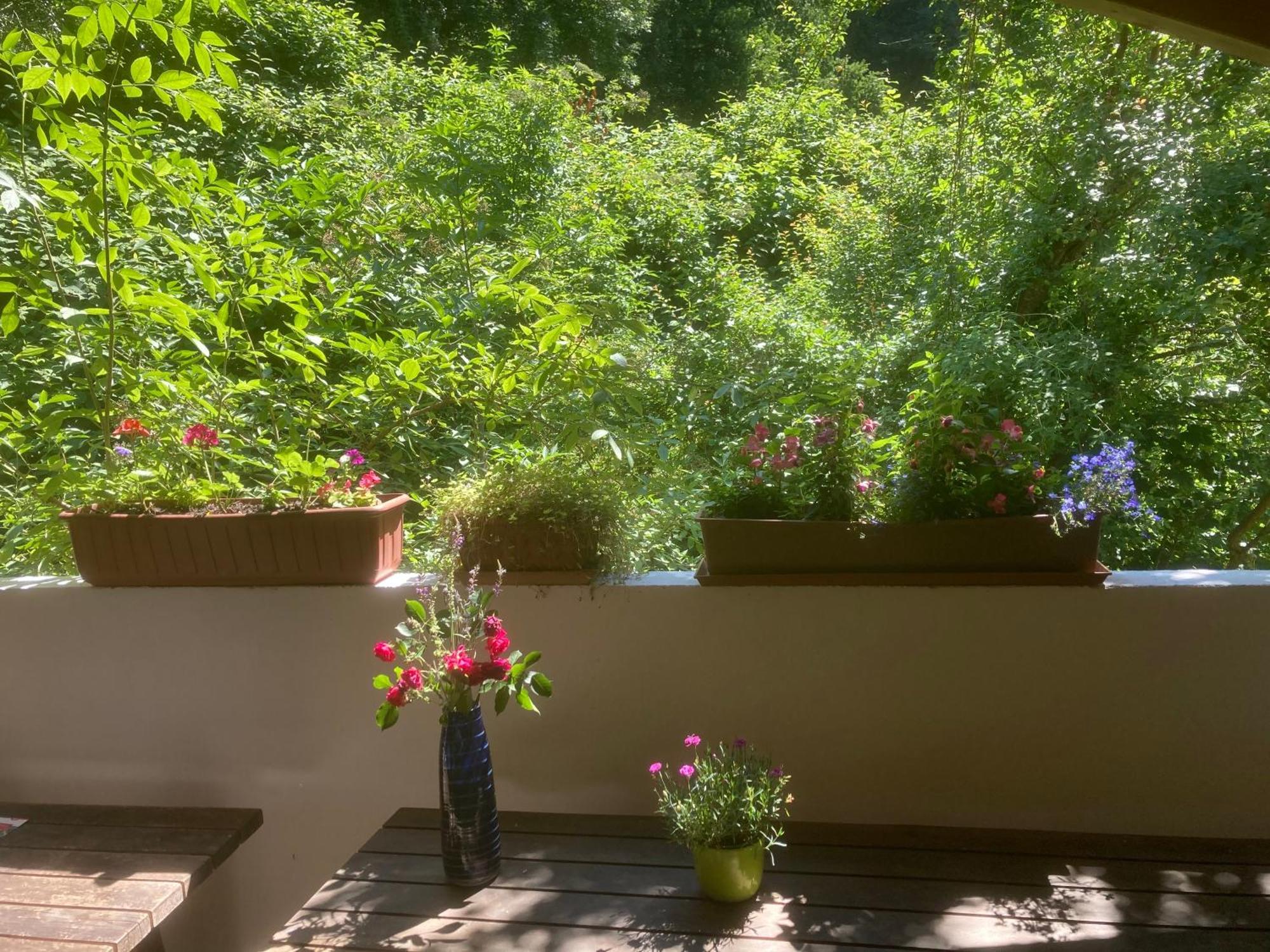Zur Freiheit Guest house *